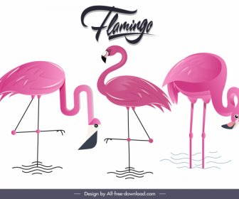 Flamingo Species Background Colored Flat Sketch