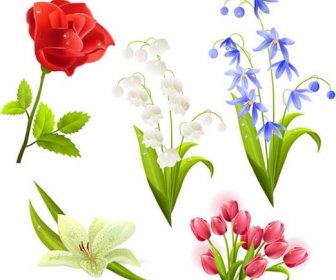 Flora Icons Realistic Colorful Modern Design