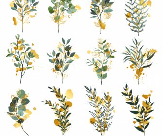 Flora Leaves Icons Colored Classic Sketch