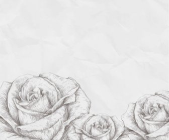 Tarjeta En Blanco Floral