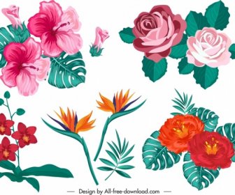 Floral Design Elements Colorful Classical Sketch