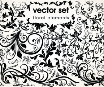 Floral Design Ornaments Elements Mix Vector