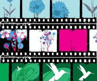 Floral Film Strips Vector
