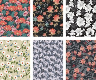 Floral Pattern Templates Elegant Classical Blooming Design