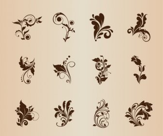 Motivos Florales Para Diseño Vectorial Conjunto