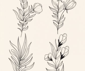 Floral Plants Icons Black White Handdrawn Outline