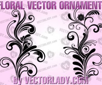 Ornamen Floral Vector