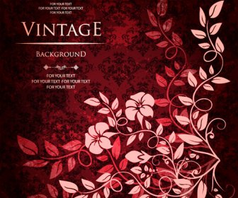 Floral With Vintage Backgrounds Vector