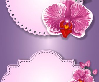Flower And Labels Vector