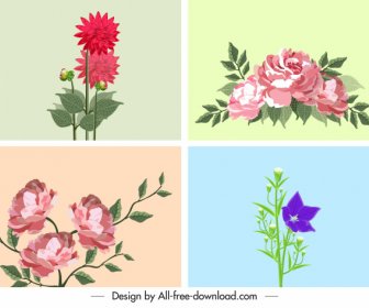 花卉背景五顏六色的裝飾綻放素描