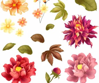 Elementos De Design De Flores Pétalas Coloridas ícones De Folhas