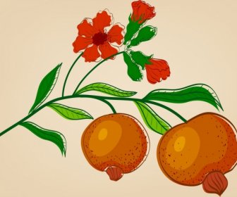Rysunek Kwiatu Owoce Granatu Ikona Kolorowe Handdrawn Szkic