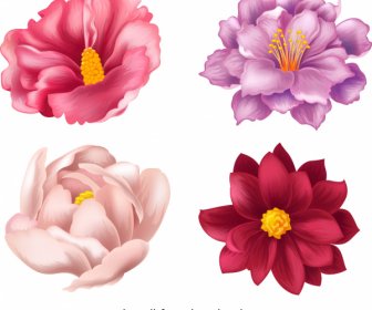 Flower Icons Colored Petals Classical Handdrawn 3d Sketch