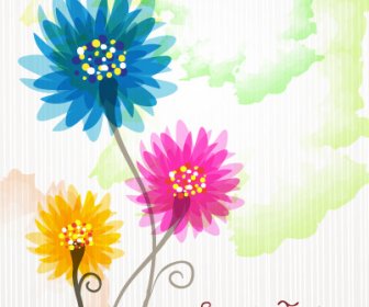 Flower Illustrations Vector Background