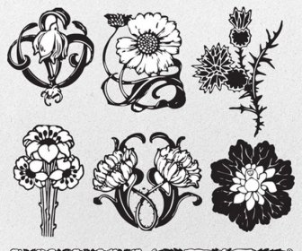 Blumenornamente Grenzen Und Muster Vektor