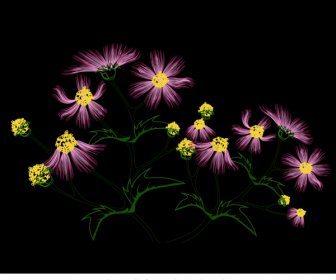 Flower Painting Dark Colorful Blooming Sketch