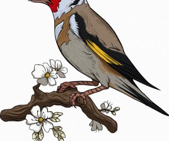ハナドリ族鳥アイコン止まったジェスチャー カラフルな古典的なスケッチ