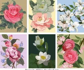 Flowers Background Templates Colorful Classical Design Bloosom Sketch