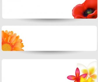 Blumen Hintergrundvorlagen Horizontales Design Farbige Blütenblätter Symbole