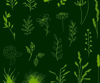 Flowers Background Various Flat Types Isolation Green Decoration