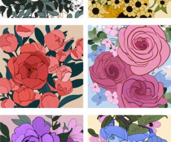 Flowers Backgrounds Colored Classical Closeup Handdrawn Sketch