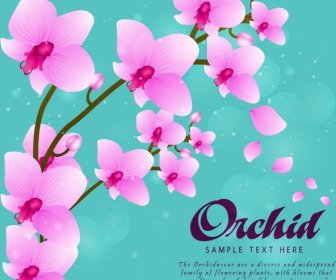 Цветы, рисование фиолетовые орхидеи значки