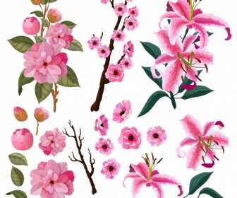 Flowers Icons Branch Petals Sketch Classical Colorful Design