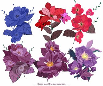 Flores Iconos De Diseño Clásico Coloreado
