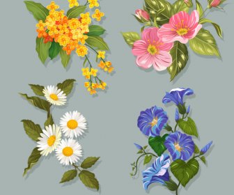Flowers Icons Colorful Classic Design Blooming Sketch
