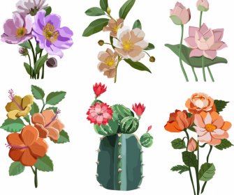 Flowers Icons Colorful Classical Design