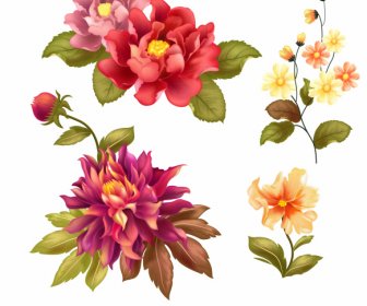 Ícones De Flores Decoração Vintage Colorida
