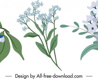 Flowers Icons Elegant Classic Design Colored Handdrawn Sketch