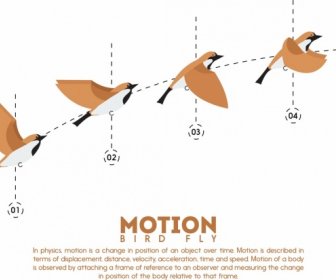 Garis Besar Gerak Infographic Burung Terbang