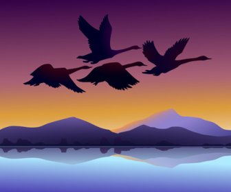 Terbang Swan Dengan Latar Belakang Matahari Terbenam Vektor
