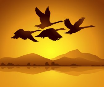 Voando De Cisne Com Vetor De Plano De Fundo Por Do Sol