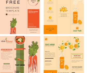 Food Brochure Templates Carrot Orange Themes Colored Classic
