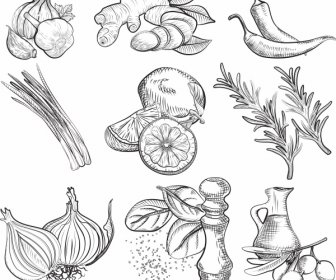 Food Ingredients Icons Vegetables Sketch Retro Handdrawn
