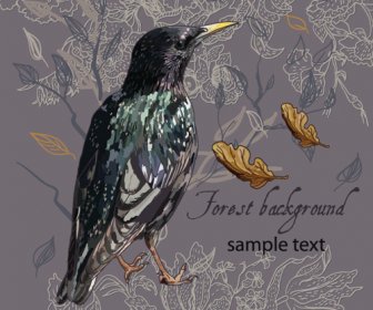 Forest Birds Vector Background