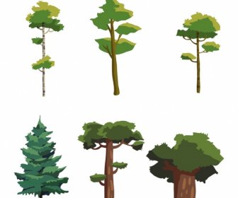 Forest Design Elements Green Tree Icons Isolation