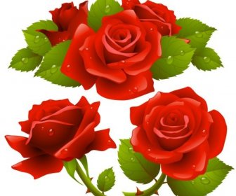 Vector Gratis De Flor Color De Rosa