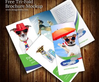 Template Psd Livre Tri Fold Brochura Maquete