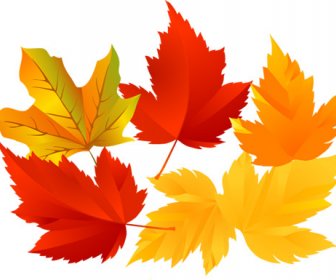 無料ベクトル秋の木の葉
