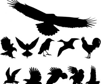 Las Aves Vectoriales Libres Siluetas Libre Cdr Vector