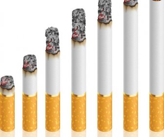 免费矢量香烟开始到结束的所有阶段