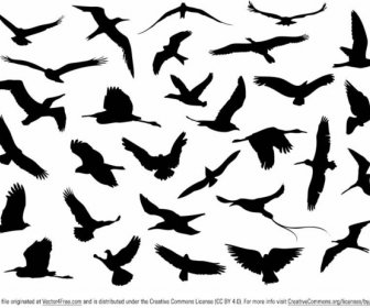 Libera Il Vettore Degli Uccelli Che Volano Silhouette