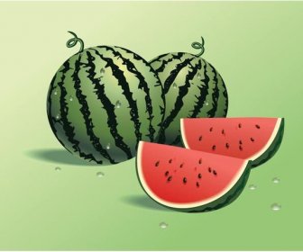 Melon D’eau Juteux Vecteur Libre