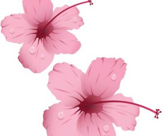 Free Vector Natural Pink Orchid Pair