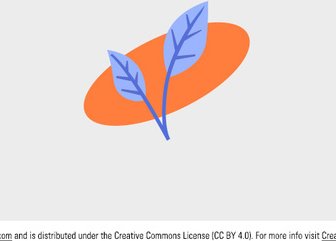 Free Vector Simple Leaf