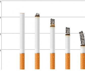 무료 벡터 시작 끝 담배 단계 그래프