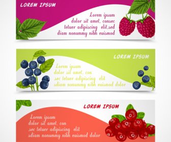 Fresh Berry Vector Banners